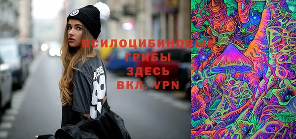a pvp Медногорск