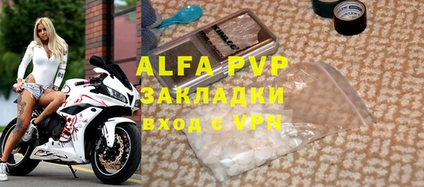 индика Медвежьегорск