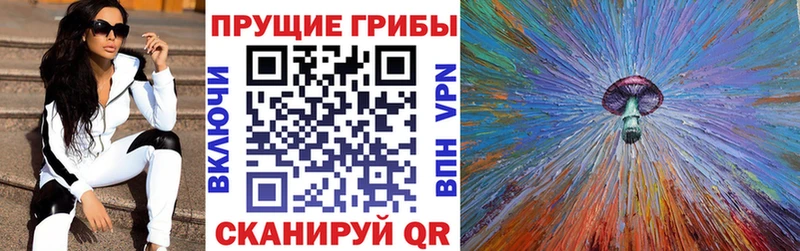 Псилоцибиновые грибы Psilocybine cubensis  KRAKEN вход  Раменское 